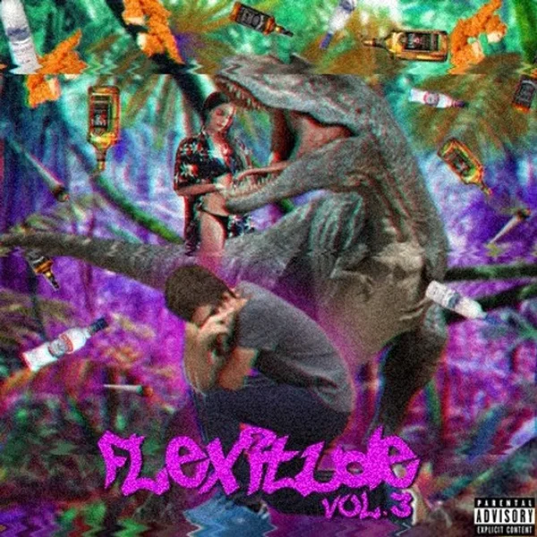 Flexitude Volume 3