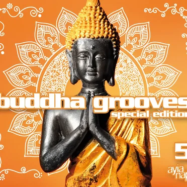 Buddha Grooves 5 by Various Artists - album cover