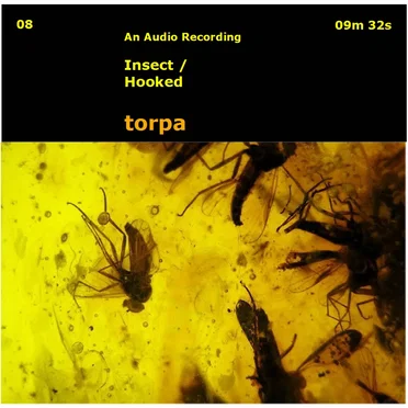 Insect / Hooked