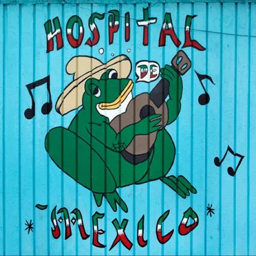 Hospital de México en vivo en RRD