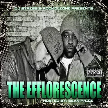 The Efflorescence by DJ Stress - album cover