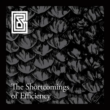 The Shortcomings of Efficiency