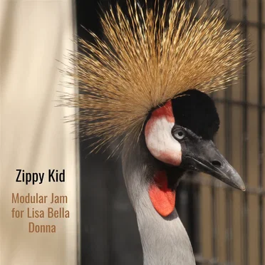 Modular Jam for Liza Bella Donna