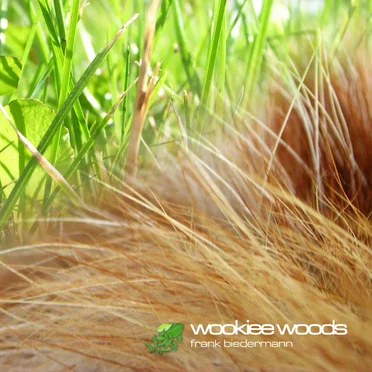 Wookiee Woods by Frank Biedermann - album cover