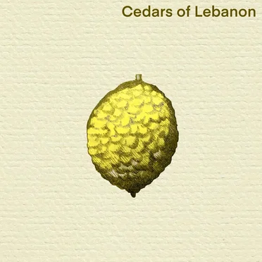 Citron