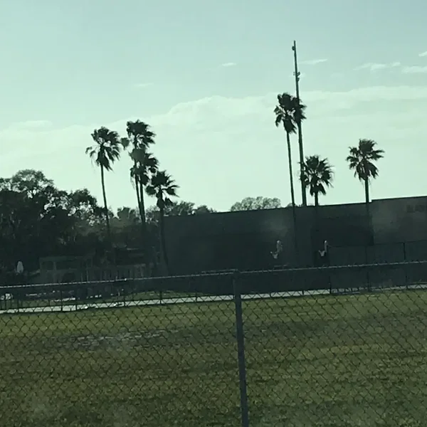 The Palm Tape