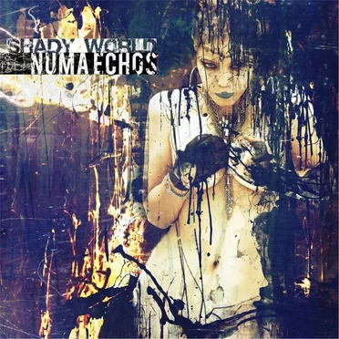 Shady World by Numa Echos - album cover