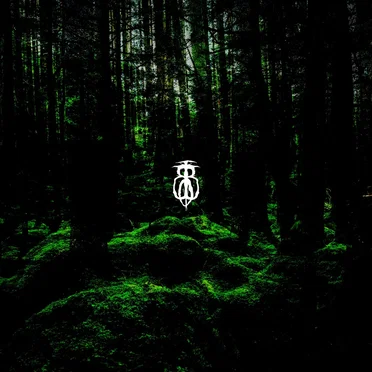 Downloading the Forest Dream Harp