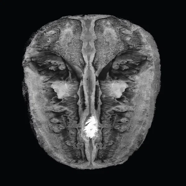 Die Gesänge des Maldoror