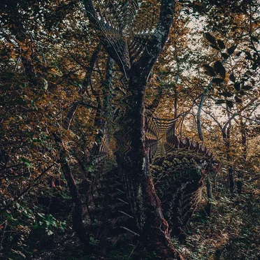 Thought catcher