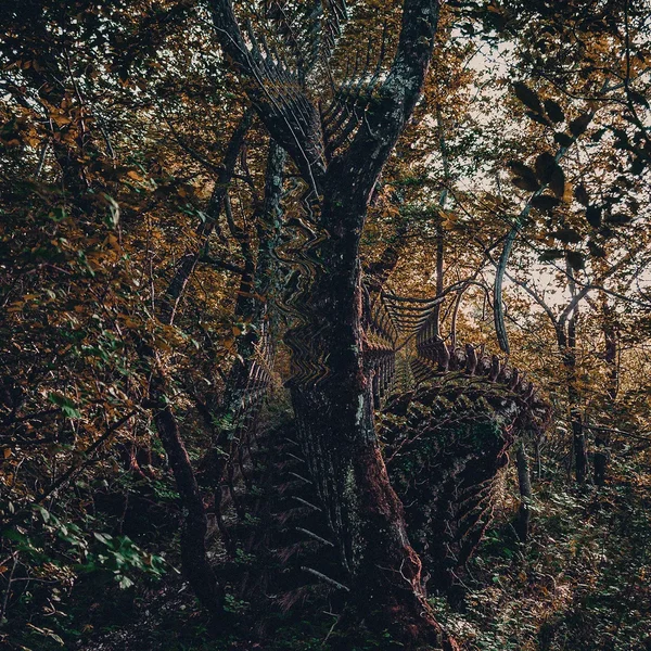 Thought catcher