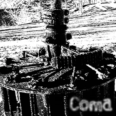 Coma