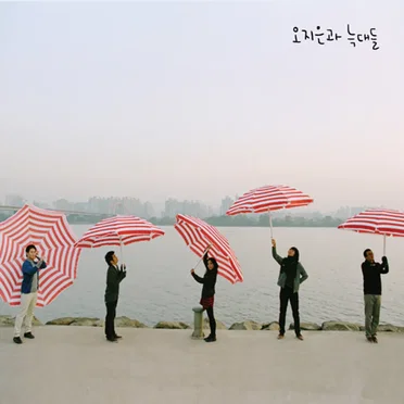 오지은과 늑대들 by 오지은과 늑대들 - album cover