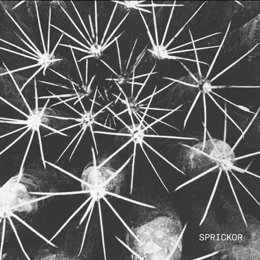 Sprickor by Sfär - album cover