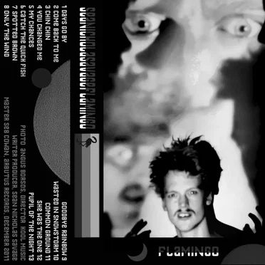 Flamingo by Sean Nicholas Savage - album cover
