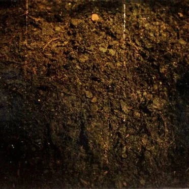 Boogiroot by DJ Maj - album cover