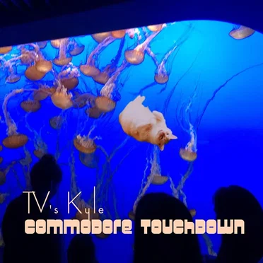Commodore Touchdown by TV's Kyle - album cover