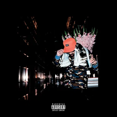 No Vi$ible Means of Income 2