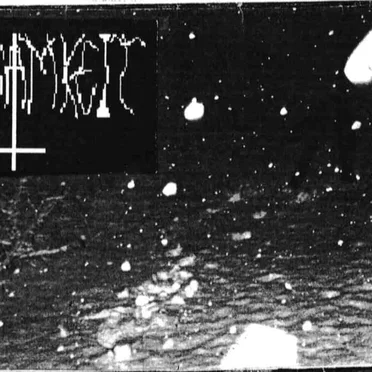 Black Thorns of Evil