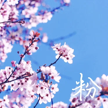 粉forestry