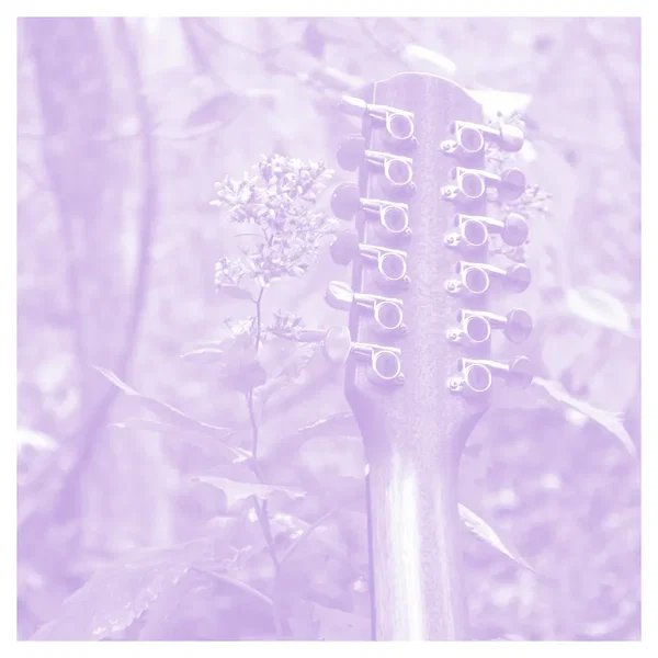 VDSQ Acoustic Series Volume 12
