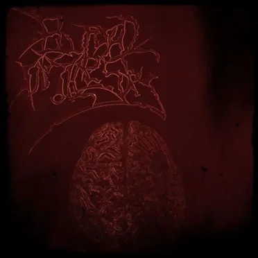 Psychosis by Burial in the Sky - album cover