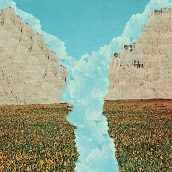 Dreams of a Sunflower River