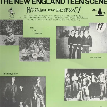 New England Teen Scene by Various Artists - album cover
