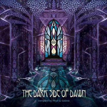 The Dark Side Of Dawn by Various Artists - album cover