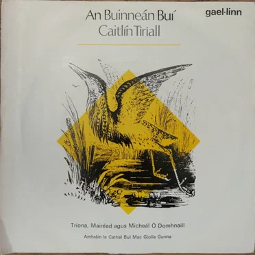 An Buinneán Buí / Caitlín Tiriall