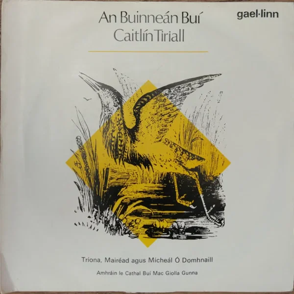 An Buinneán Buí / Caitlín Tiriall