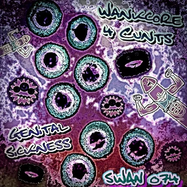 Wankcore 4 Cunts by Genital Sickness - album cover