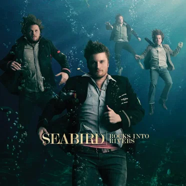 Rocks Into Rivers by Seabird - album cover