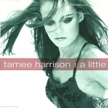 A Little Bit by Tamee Harrison - album cover