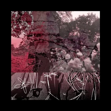 Stillburn by Rhy - album cover
