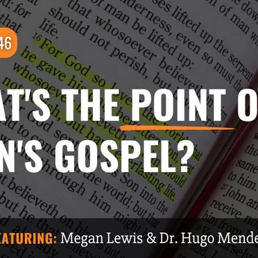 Misquoting Jesus with Bart Ehrman #146, “What's the Point of John's Gospel?” by Bart D. Ehrman - album cover