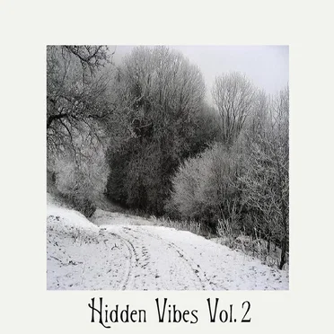 Hidden Vibes Vol. 2 by Various Artists - album cover