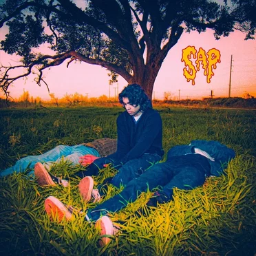 Bleed In The Sun by Sap - album cover