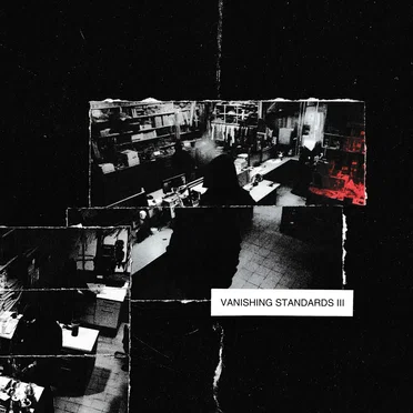Vanishing Standards III by Various Artists - album cover