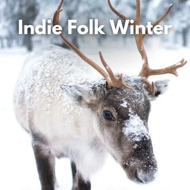 Indie Folk Winter by Various Artists - album cover