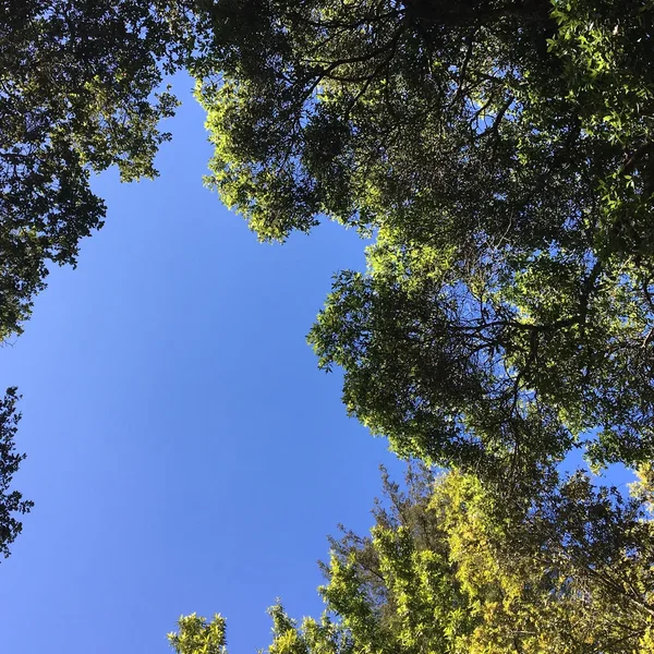 On The Way Down