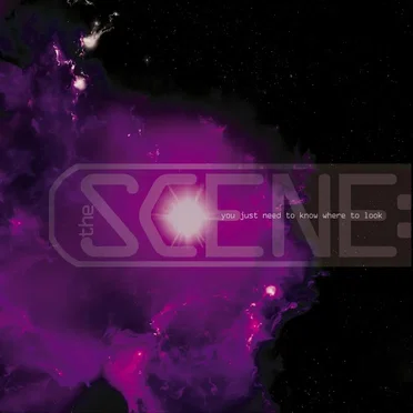 The Scene: You Just Need to Know Where to Look by Various Artists - album cover