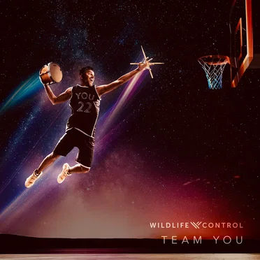 Team You by Wildlife Control - album cover
