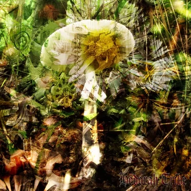 Destroying Angel