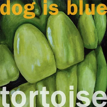 Tortoise