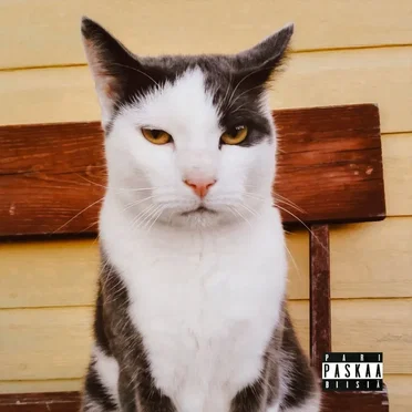 Pari paskaa biisiä by Muuan Mies - album cover