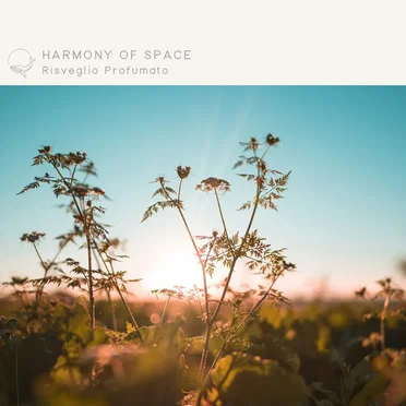 Risveglio Profumato by Harmony of Space - album cover