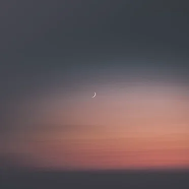 Noise of Scarlet Nights