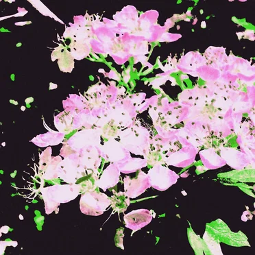 eliä§e by Ehtëk - album cover