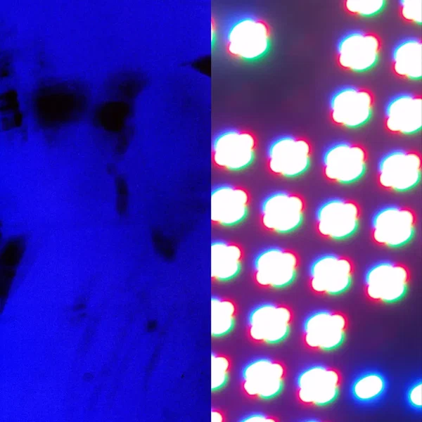 Forever (Tom VR remix)